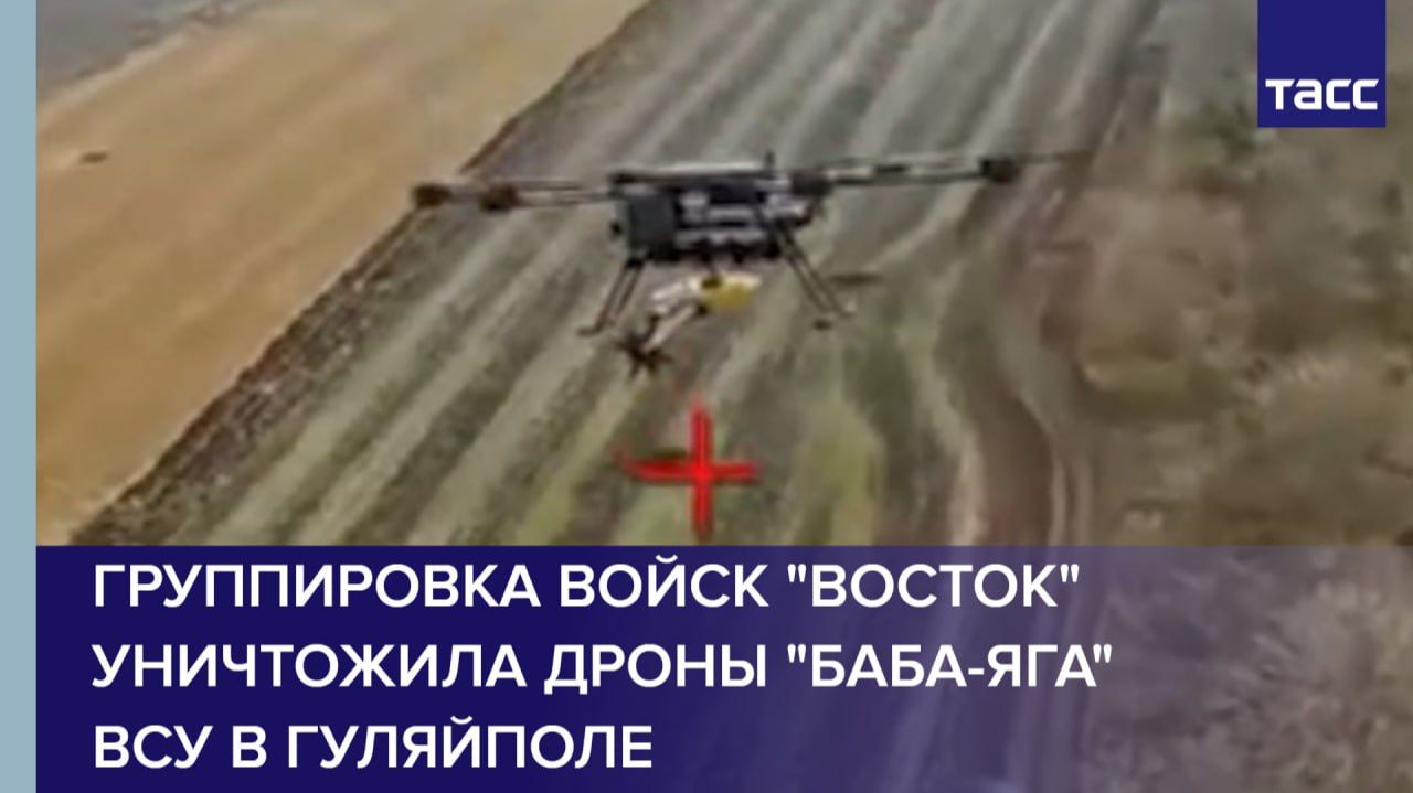 Группировка войск "Восток" уничтожила дроны "Баба-яга" ВСУ в Гуляйполе