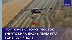 Группировка войск "Восток" уничтожила дроны "Баба-яга" ВСУ в Гуляйполе