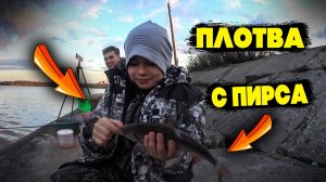 Плотва с пирса
