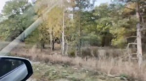 Заброшенная Россия. По заброшенным сказочным местам Ульяновской области.