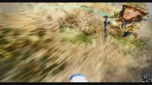 Был да сплыл №37