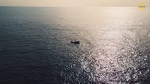 Самые странные гиганты глубин, которые делают океан по-настоящему страшным