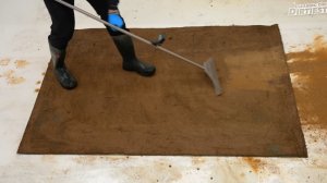 Чистим очень грязный ковер, за который никто не взялся.