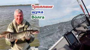 Щука на троллинг на одной из волжских проток Астраханской области