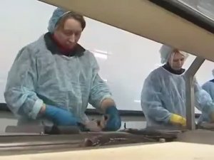 Реализованный проект - Рыбное хозяйство Жемчужина Оскола