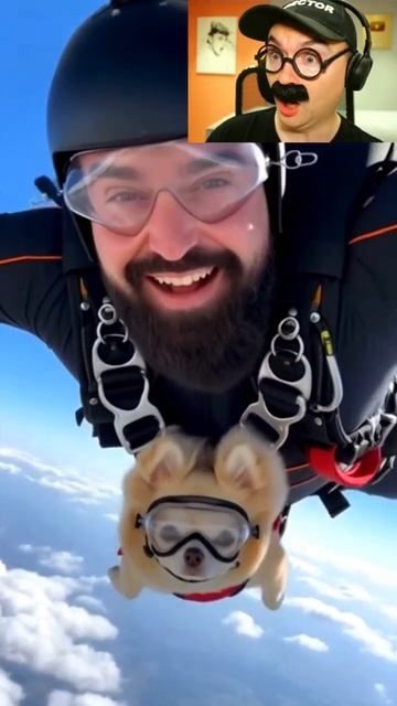 Прыжок с парашютом вместе с собакой смотреть онлайн