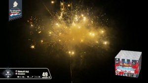 VH100-49-01 Новый год