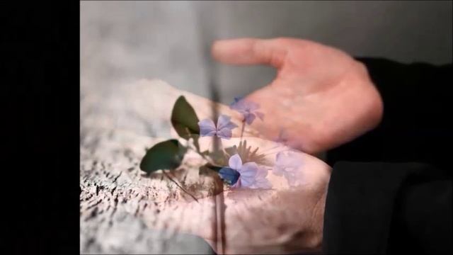 "Не сердись" - фортепиано + фонограмма