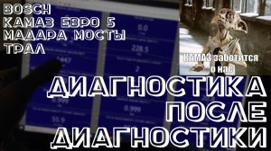 Диагностика после диагностики. Камаз Евро 5, Bosch, Трал и мадара мосты.