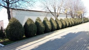 Пришла в парк ! Получила новый паспорт ! О маме теплые воспоминания ! Юг России🌴