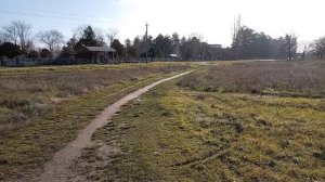 Доброе утро ! Иду в магазин и болтаю ! Бог дал в год змеи , в год змеи и забрал ! Юг России🌴.