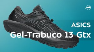Кроссовки ASICS Gel-Trabuco 13 Gtx