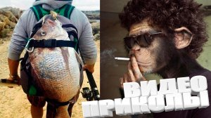 ЛУЧШИЕ ПРИКОЛЫ 2025 | ПРИКОЛЫ 2025 | СВЕЖИЕ ПРИКОЛЫ 2025 | РЖУ НЕ МОГУ |