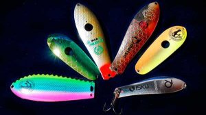 Выбор самой уловистой колебалки или как новичку выбрать лучшую колебалку