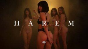 Exotic Dark Techno / Ethnic Bass House / Dark Exotic Mix 'HAREM' [Copyright Free]