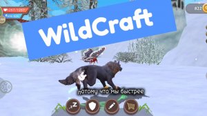 WildCraft: выполняем задания!