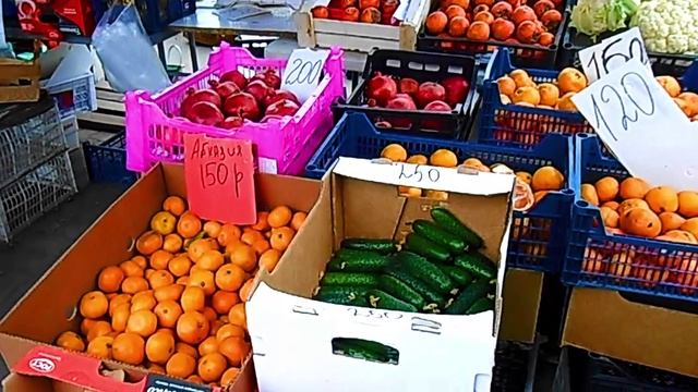 Камышин 5 дек 2025 По городу смотреть онлайн