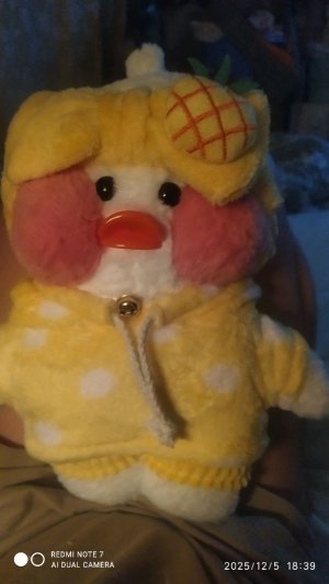 вторая трансляция❄️❄️❄️🤍🤍🤍