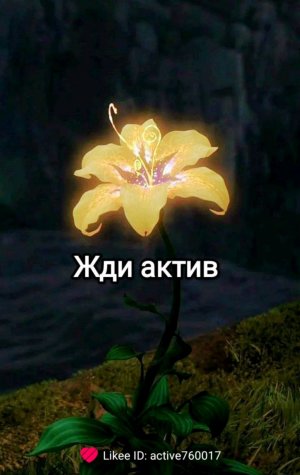 я из Америки