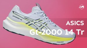 Кроссовки ASICS Gt-2000 14 Tr
