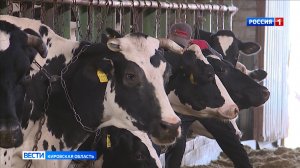 Кировской области выделили 18 миллионов на развитие племенного животноводства