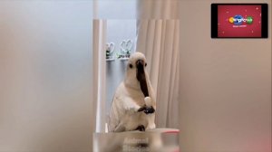 взломан канал карусель