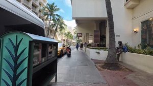 Лёгкая прогулка по Вайкики Гавайи как выглядит ноябрь 2025