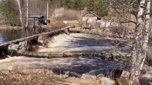 Ленобласть. Студёное. Плотина на речке Дымовка у старой финской мельницы