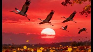 Антон Масленников/Журавли