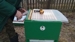 Обстановка на пасеке 4 декабря 2025. Среднерусская пчела.