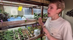 БУДТЕ ОСТОРОЖНЫ! ВРЕДИТЕЛИ НЕ ДРЕМЛЮТ!