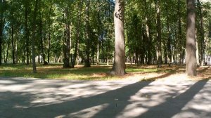 родной узор