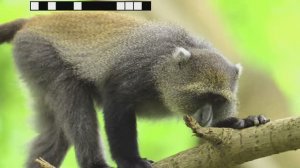 fantastic places 10min android