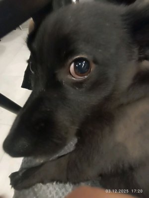 разборы и истории