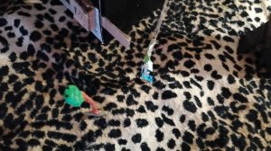 Мультфильм "Бумажки" 10 серия стоп снято