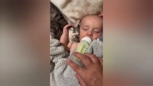 Кошки и малыши....