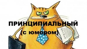 ПРИНЦИПИАЛЬНЫЙ // АВТОРСКАЯ ПЕСНЯ //