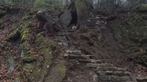 Построите таиное теплое убежище для выживания под корнями большо