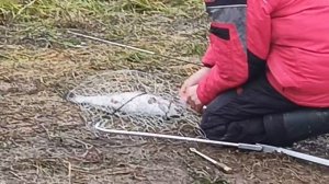 VID_20251205_110810_186