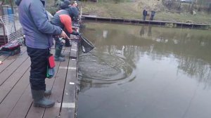 Снова Маггот