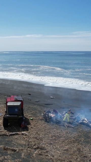 берег Камчатского залива Тихого океана смотреть онлайн