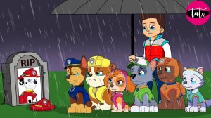 Щенячий патруль и Маршалл. Залипательное видео. Мультфильм для детей и малышей. Анимация