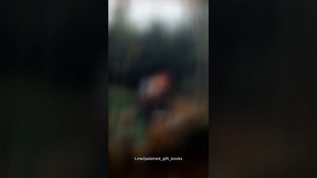 Как научиться разговаривать с картинами?