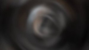 Самая читающая продленка Детской библиотеки № 8