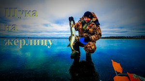 Рыбалка на жерлицы на щуку