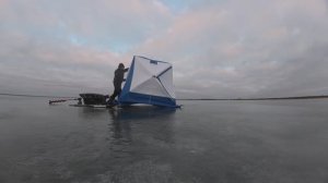 От пятачка до кабанчика