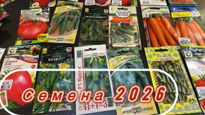 Обзор семян на сезон 2026