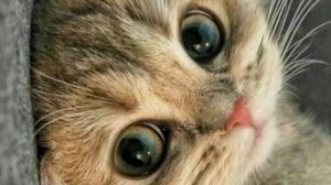 Пожелания доброго утра субботы