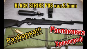 BLACK STRIKE P08 кал.5.5 Распаковка