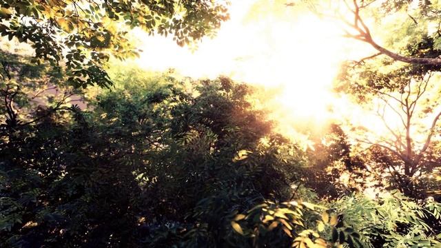 Способы борьбы с болезнью Альцгеймера смотреть онлайн